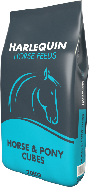 HORSE & PONY CUBES