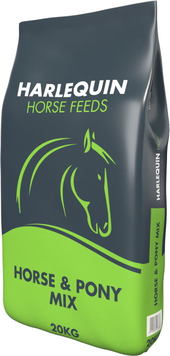 HORSE & PONY MIX